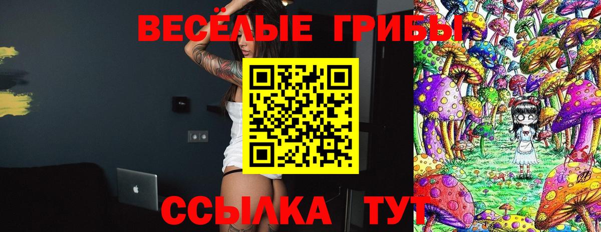 Галлюциногенные грибы прущие грибы Камышлов