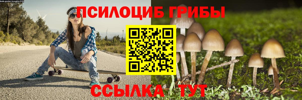 Камышлов  Псилоцибиновые грибы мухоморы  где купить наркоту  Вход с VPN 